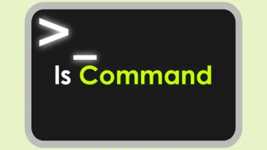 ls Command